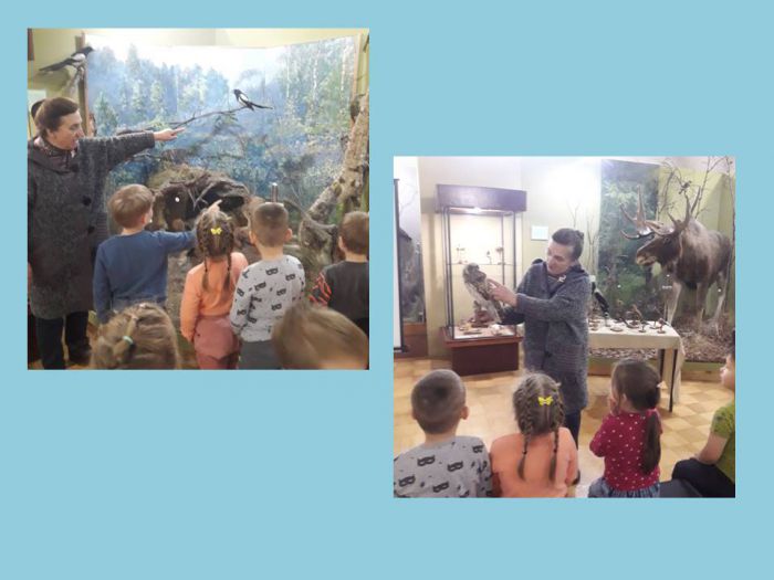 Дети посетили выставку в музее  «Какие разные птицы»